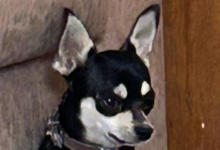 Ekran-Resmi-2026-02-28-23.18.51