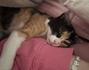 Ekran-Resmi-2026-02-28-23.26.28