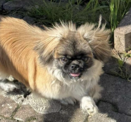 Ekran-Resmi-2026-02-28-23.28.00