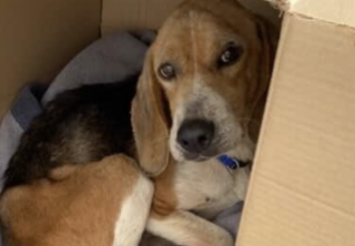 Ekran-Resmi-2026-02-28-23.30.50