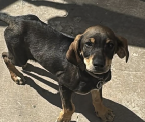 Ekran-Resmi-2026-02-28-23.33.53