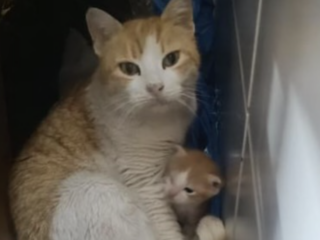 Ekran-Resmi-2026-02-28-23.39.04