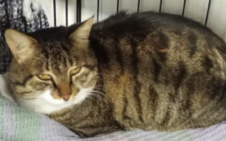 Ekran-Resmi-2026-02-28-23.44.28