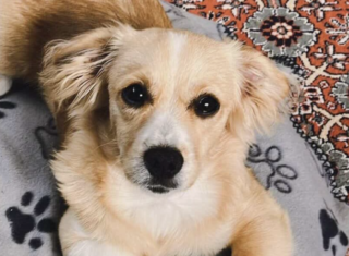 Ekran-Resmi-2026-02-28-23.45.11