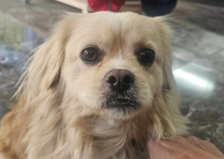 Ekran-Resmi-2026-02-28-23.47.33