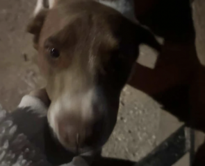 Ekran-Resmi-2026-02-28-23.51.09