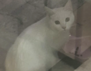 Ekran-Resmi-2026-03-04-11.26.45