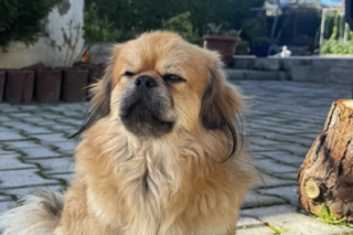 Ekran-Resmi-2026-03-04-11.36.49