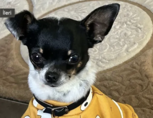 Ekran-Resmi-2026-03-04-11.37.29