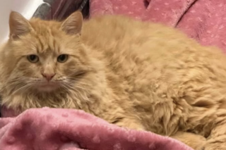 Ekran-Resmi-2026-03-04-11.44.23