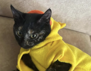 Ekran-Resmi-2026-03-04-11.48.36