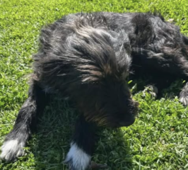 Ekran-Resmi-2026-03-04-11.54.49