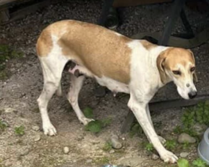 Ekran-Resmi-2026-03-04-11.59.32