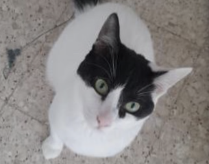 Ekran-Resmi-2026-03-04-12.00.08