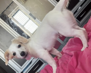 Ekran-Resmi-2026-03-04-12.11.27