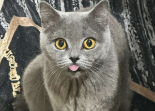 Ekran-Resmi-2026-03-04-13.03.22