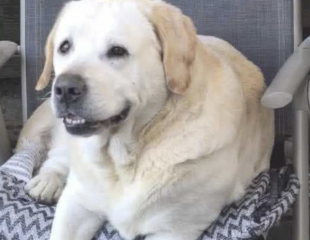 Ekran-Resmi-2026-03-04-13.09.03