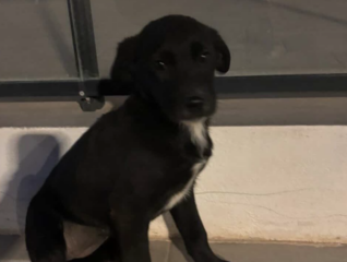 Ekran-Resmi-2026-03-04-13.12.16