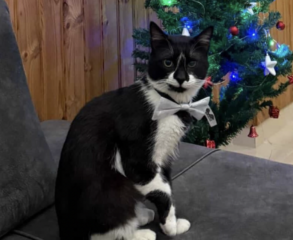 Ekran-Resmi-2026-03-04-13.22.03