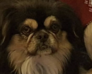 Ekran-Resmi-2026-03-04-13.29.03