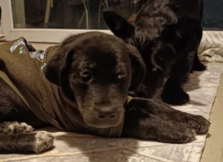 Ekran-Resmi-2026-03-05-19.58.24