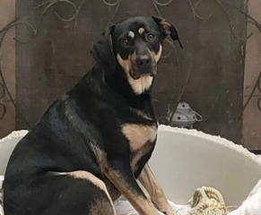 Ekran-Resmi-2026-03-05-20.00.11