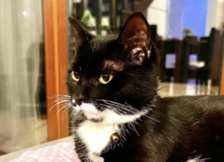 Ekran-Resmi-2026-03-05-20.05.57