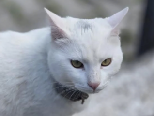 Ekran-Resmi-2026-03-05-20.10.30