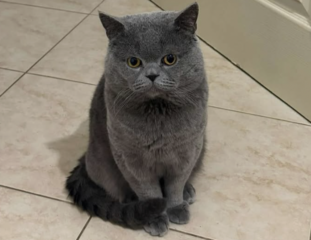 Ekran-Resmi-2026-03-05-20.31.27