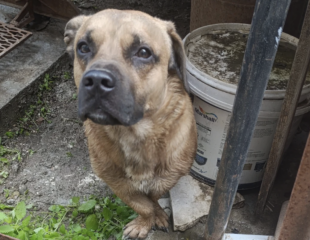 Ekran-Resmi-2026-03-05-20.33.33