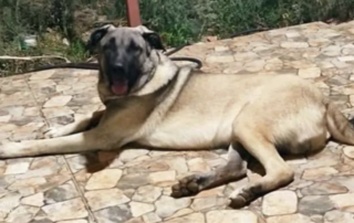 Ekran-Resmi-2026-03-05-20.37.53