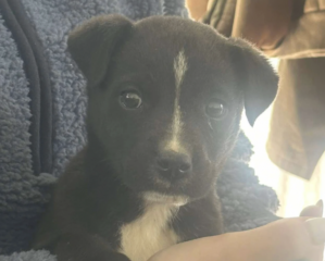 Ekran-Resmi-2026-03-05-20.39.25