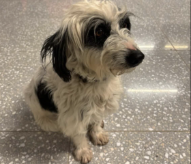 Ekran-Resmi-2026-03-05-20.44.43