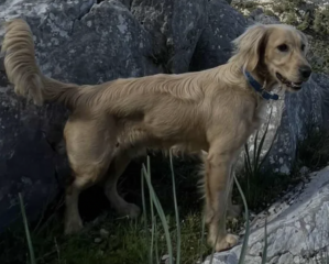 Ekran-Resmi-2026-03-06-19.43.40