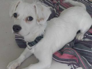 Ekran-Resmi-2026-03-06-19.46.01