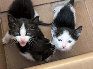 Ekran-Resmi-2026-03-06-19.47.43