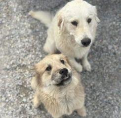 Ekran-Resmi-2026-03-06-19.53.38