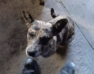 Ekran-Resmi-2026-03-06-19.56.27