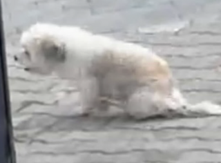 Ekran-Resmi-2026-03-06-19.58.15