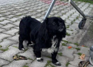 Ekran-Resmi-2026-03-06-20.00.12