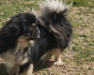 Ekran-Resmi-2026-03-07-11.54.24