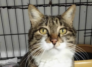 Ekran-Resmi-2026-03-07-11.58.57