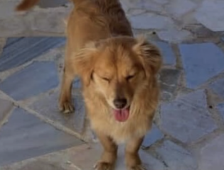 Ekran-Resmi-2026-03-07-12.08.14