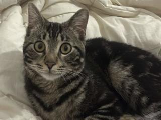 Ekran-Resmi-2026-03-07-12.23.21