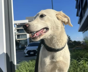 Ekran-Resmi-2026-03-07-12.39.19