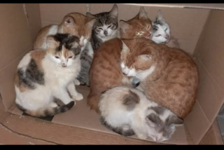 Ekran-Resmi-2026-03-07-12.41.21