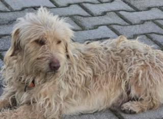 Ekran-Resmi-2026-03-07-22.09.27