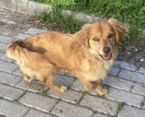 Ekran-Resmi-2026-03-07-22.10.34