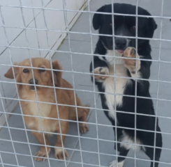 Ekran-Resmi-2026-03-07-22.11.55