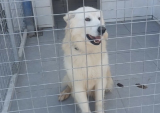 Ekran-Resmi-2026-03-07-22.12.29